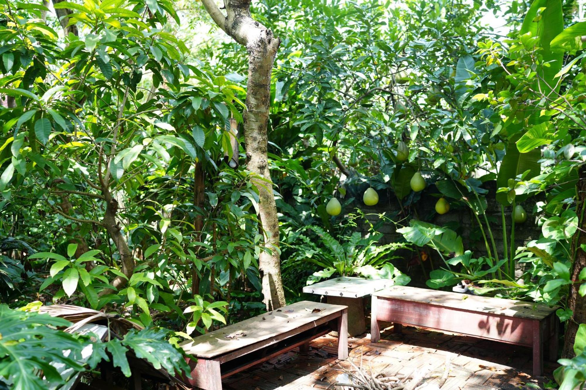 Nha Lua Homestay Ninh Binh Buitenkant foto