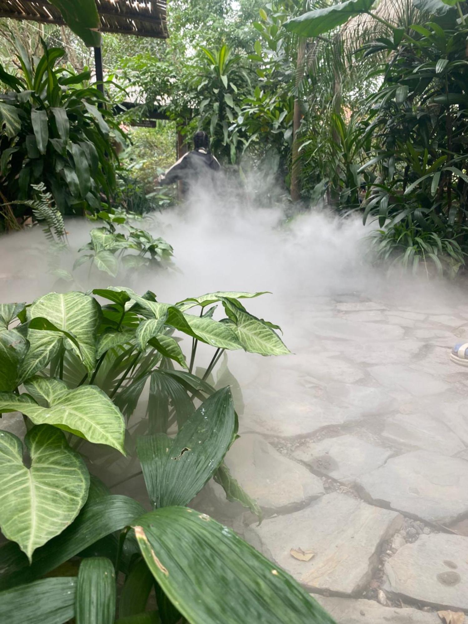 Nha Lua Homestay Ninh Binh Buitenkant foto